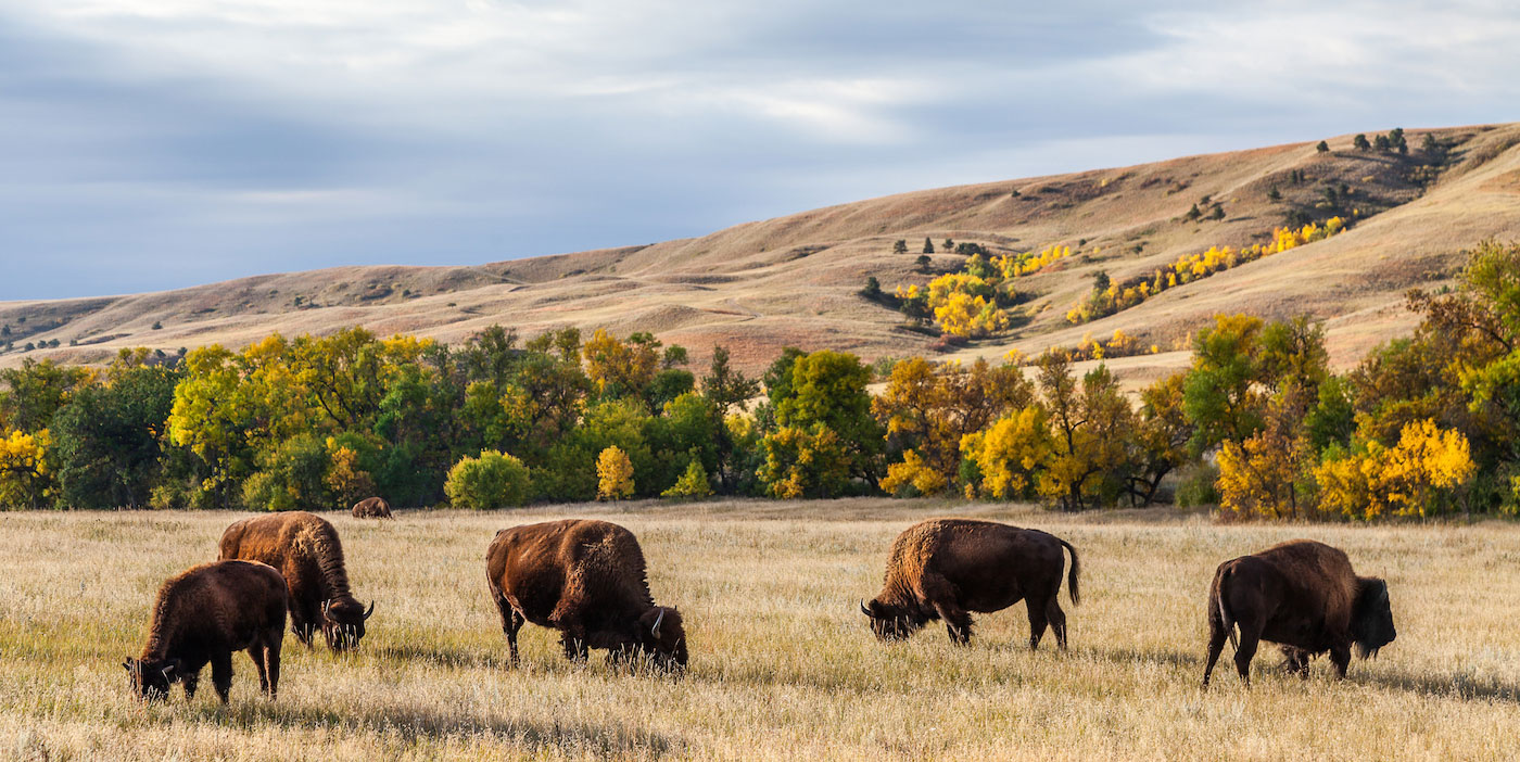 North Dakota